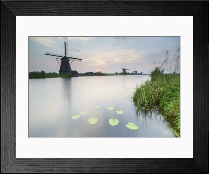 Framed Print : Blue sky and pink clouds on the windmills reflected in the canal at dawn, Kinderdijk Framed Print : Blue sky and pink clouds on the windmills reflected in the canal at dawn, Kinderdijk