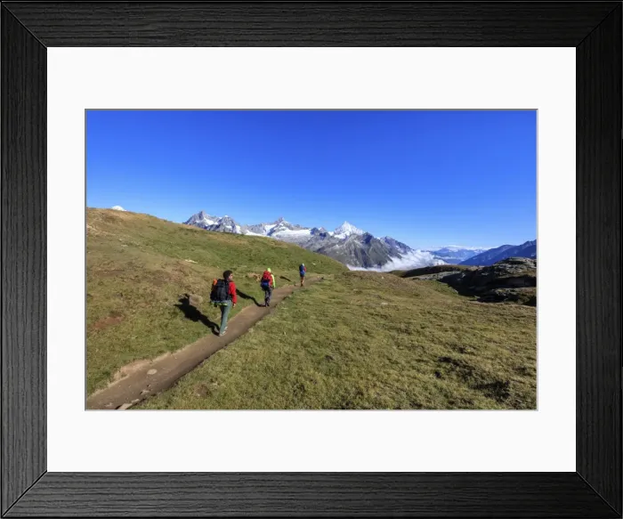 Framed Print : Hikers on a mountain path proceed towards the high peaks in a clear summer day, Gornergrat Framed Print : Hikers on a mountain path proceed towards the high peaks in a clear summer day, Gornergrat