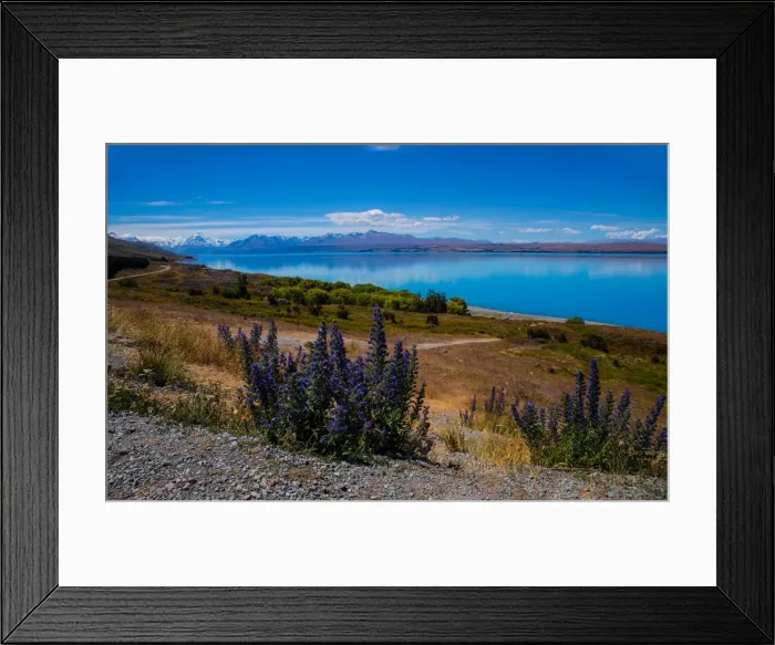 Framed Print : Lake Tekapo looking across to Ben Ohau, South Island, New Zealand, Pacific Framed Print : Lake Tekapo looking across to Ben Ohau, South Island, New Zealand, Pacific