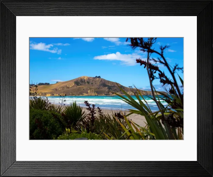 Framed Print : Waikouaiti Reserve, Otago, South Island, New Zealand, Pacific Framed Print : Waikouaiti Reserve, Otago, South Island, New Zealand, Pacific