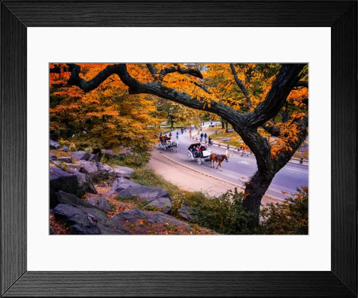 Framed Print : Carriage ride, Central Park, New York City, United States of America, North America Framed Print : Carriage ride, Central Park, New York City, United States of America, North America