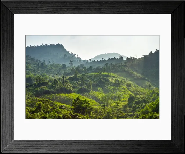 Framed Print : Lush green jungle landscape along Ho Chi Minh Highway West, Phuoc Son District, Quang Nam Province Framed Print : Lush green jungle landscape along Ho Chi Minh Highway West, Phuoc Son District, Quang Nam Province