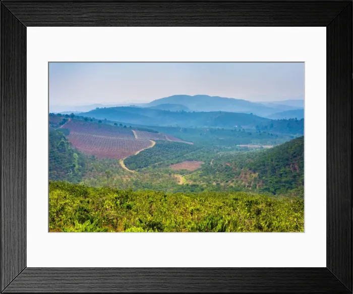Framed Print : Rolling hills and coffee plantations in Central Highlands, Bao Loc, Lam Dong Province Framed Print : Rolling hills and coffee plantations in Central Highlands, Bao Loc, Lam Dong Province