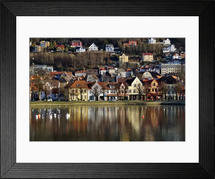 Framed Print : Lille Lungegard lake, Bergen, Norway, Scandinavia, Europe Framed Print : Lille Lungegard lake, Bergen, Norway, Scandinavia, Europe