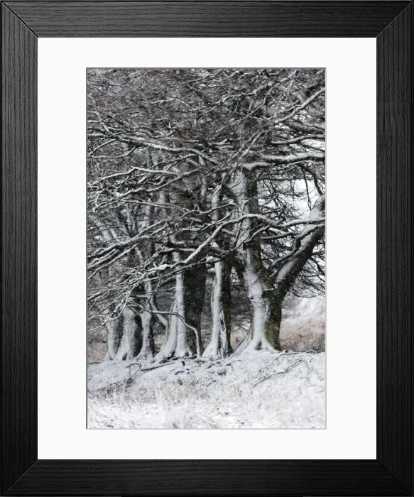 Framed Print : A wintry landscape on the Mynydd Epynt moorland, Powys, Wales, United Kingdom, Europe Framed Print : A wintry landscape on the Mynydd Epynt moorland, Powys, Wales, United Kingdom, Europe
