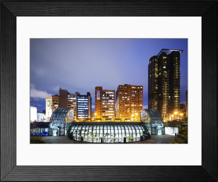 Framed Print : Daan Park subway station, Taipei, Taiwan, Asia Framed Print : Daan Park subway station, Taipei, Taiwan, Asia