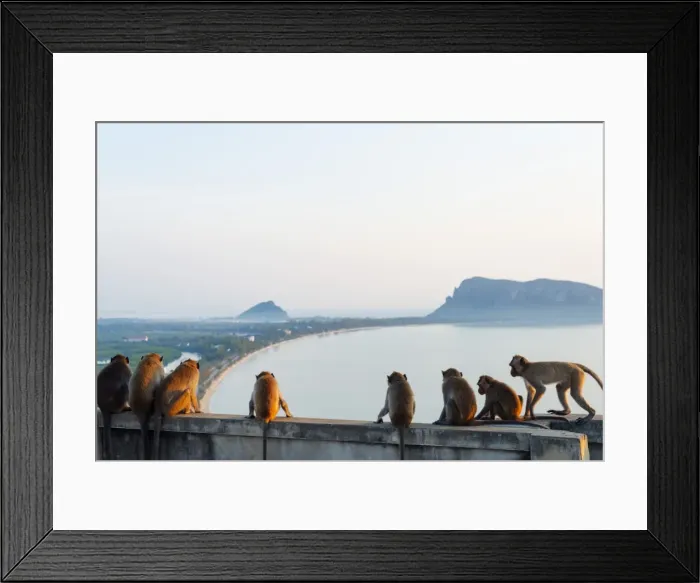 Framed Print : Macaque monkey (Macaca), Khao Chong Krajok, Prachuap Kiri Khan, Thailand, Southeast Asia Framed Print : Macaque monkey (Macaca), Khao Chong Krajok, Prachuap Kiri Khan, Thailand, Southeast Asia