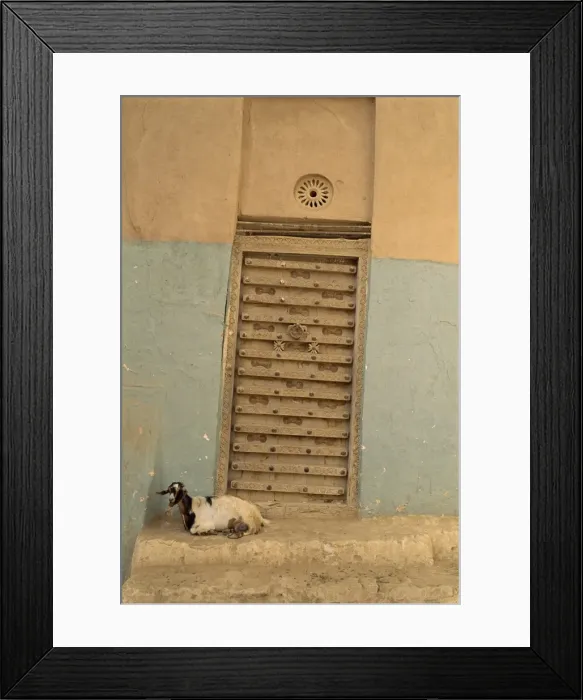 Framed Print : Close-up of a goat in front of an ornate door in Framed Print : Close-up of a goat in front of an ornate door in