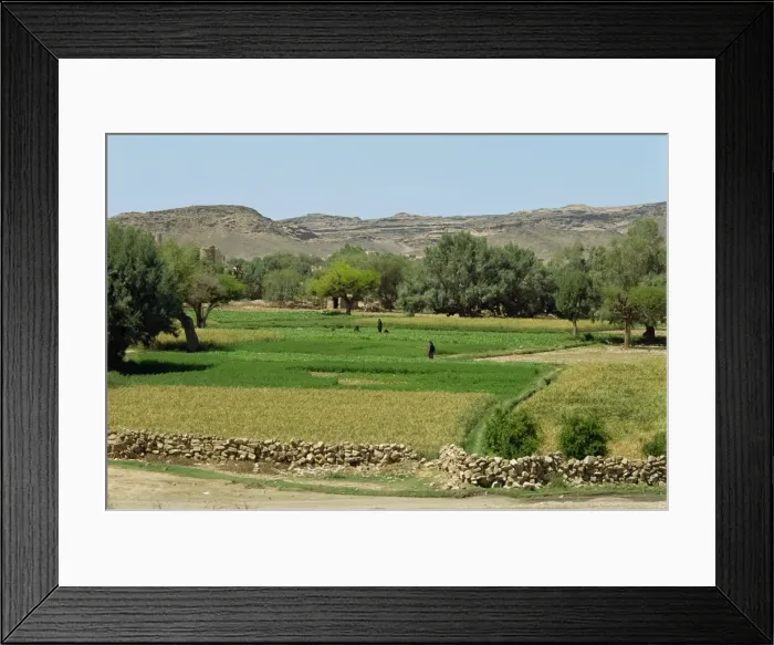 Framed Print : Fields of mixed crops irrigated by pump wells Framed Print : Fields of mixed crops irrigated by pump wells
