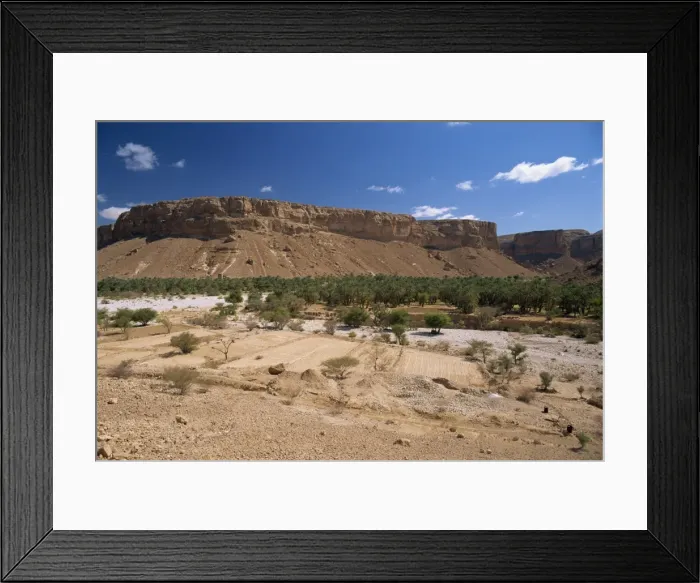 Framed Print : Fields and date palms in the fertile valley of Wadi Doan Framed Print : Fields and date palms in the fertile valley of Wadi Doan