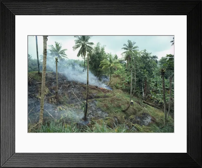 Framed Print : Slash and burn agriculture, St Framed Print : Slash and burn agriculture, St