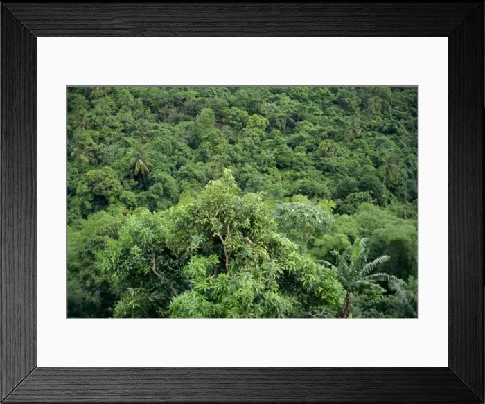 Framed Print : Grenada, Windward Islands Framed Print : Grenada, Windward Islands