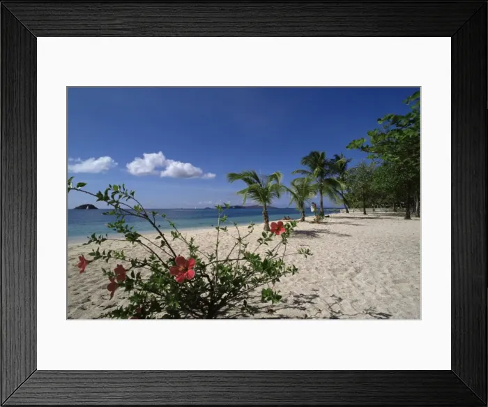 Framed Print : Palm Island Framed Print : Palm Island
