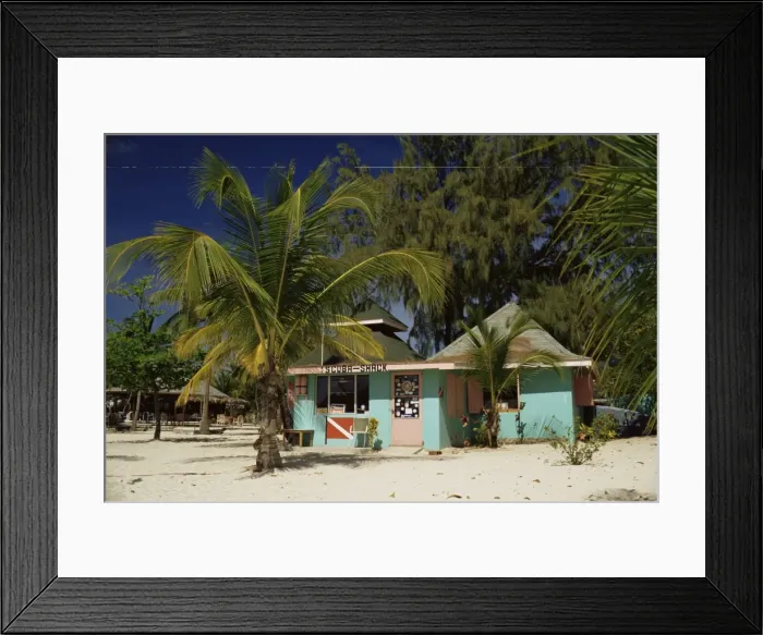 Framed Print : Palm Island Framed Print : Palm Island