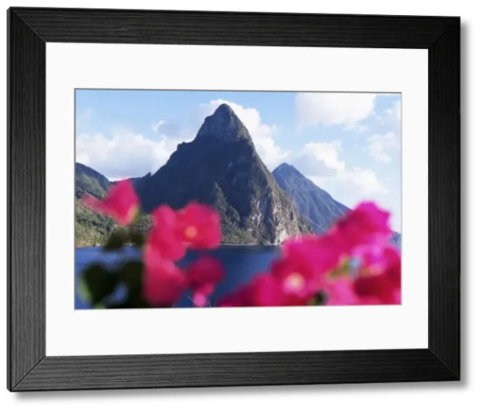 Framed Print : View of the Pitons volcanic mountains Framed Print : View of the Pitons volcanic mountains