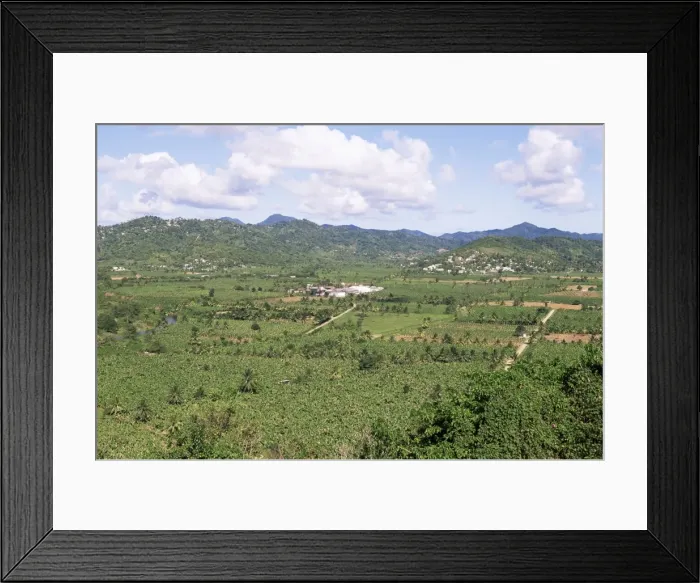 Framed Print : Landscape with banana plantations, St Framed Print : Landscape with banana plantations, St