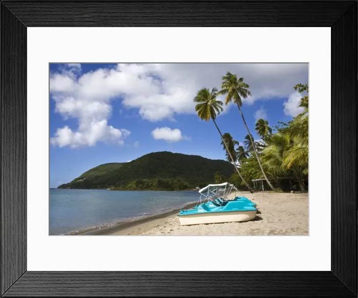 Framed Print : Purple Turtle Beach Club Framed Print : Purple Turtle Beach Club