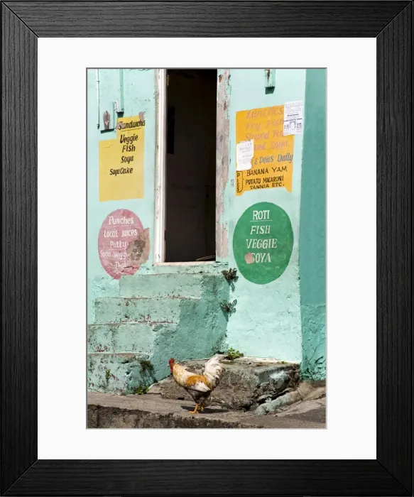 Framed Print : Hurricane damaged buldings, St