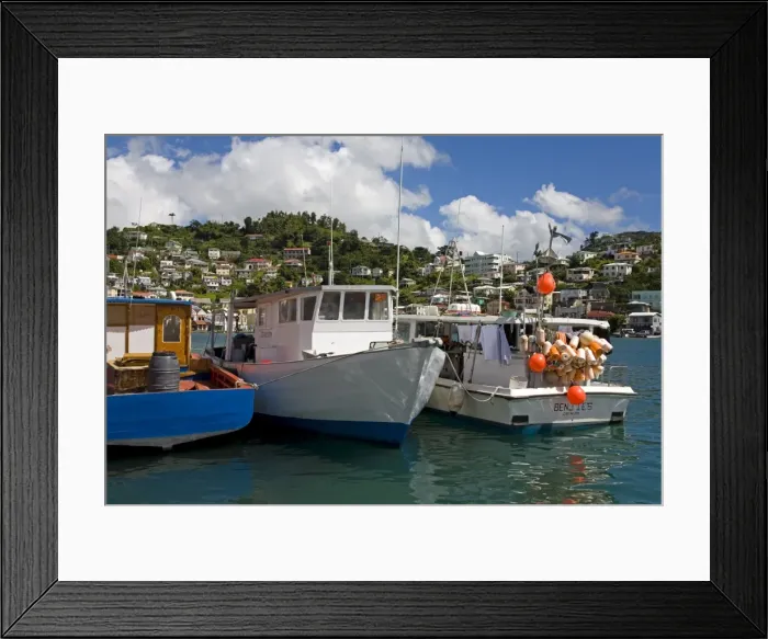 Framed Print : Fishing Boats in Carenage Harbour, St Framed Print : Fishing Boats in Carenage Harbour, St
