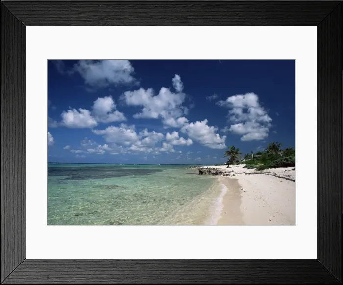 Framed Print : Palm-fringed beach Framed Print : Palm-fringed beach