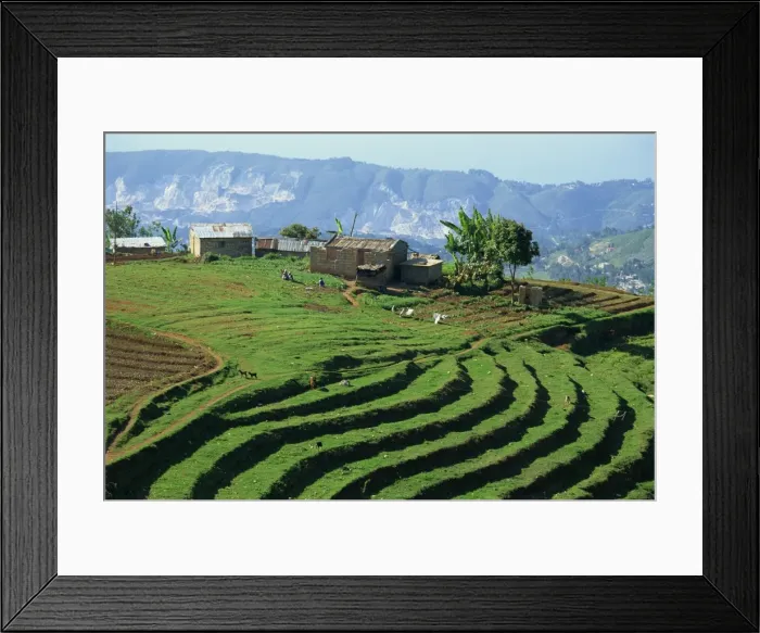 Framed Print : Terracing on small farm Framed Print : Terracing on small farm