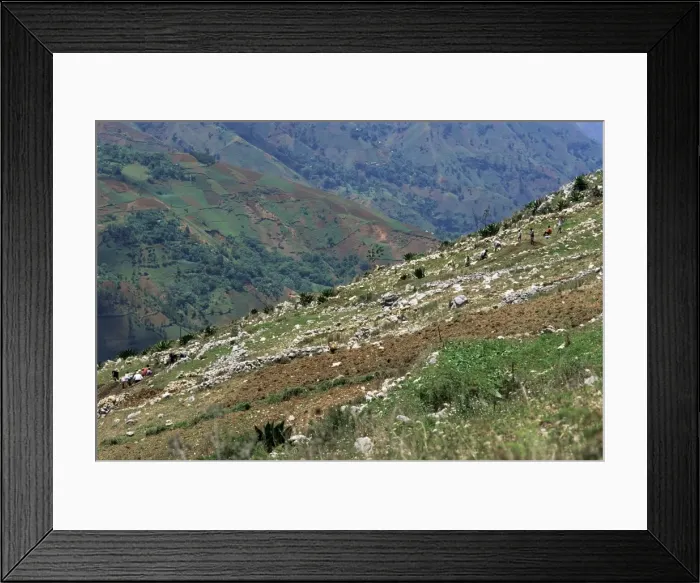 Framed Print : People working in steep mountain fields Framed Print : People working in steep mountain fields