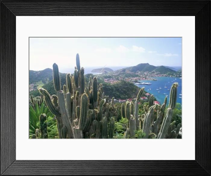 Framed Print : View from Fort Napoleon
