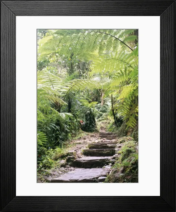Framed Print : Les chutes de Carbert Framed Print : Les chutes de Carbert