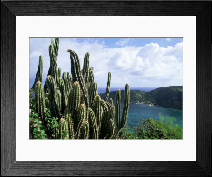 Framed Print : View from Fort Napoleon Framed Print : View from Fort Napoleon
