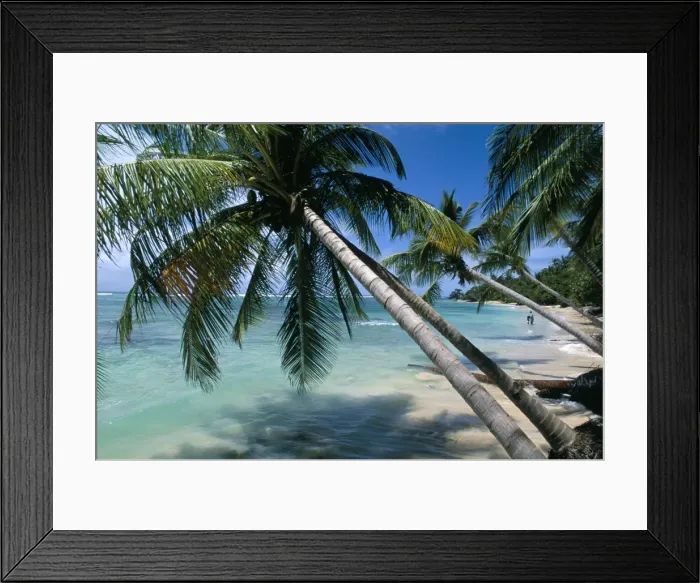 Framed Print : Beach, Capesterre region