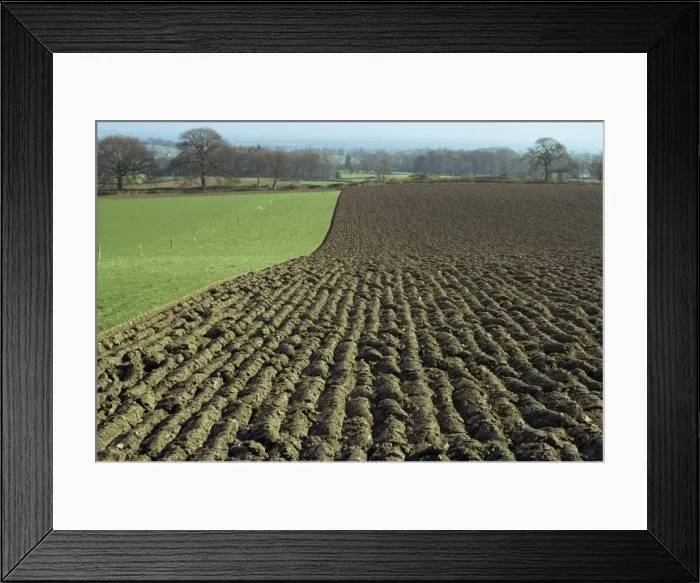 Framed Print : Fields between Llanarmon and Llanrhaeadr Framed Print : Fields between Llanarmon and Llanrhaeadr