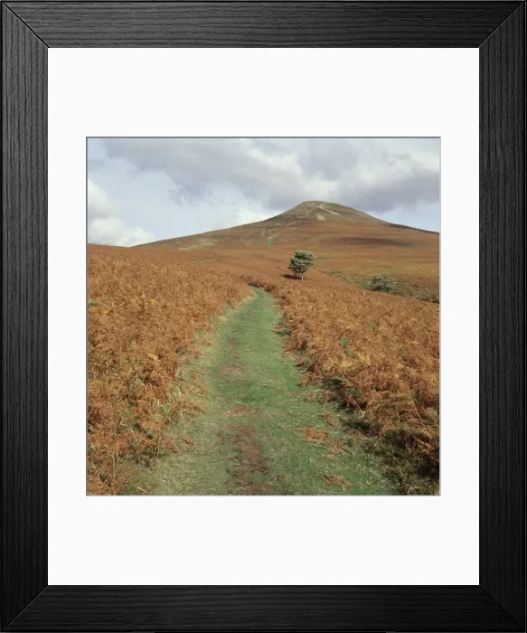 Framed Print : The Sugar Loaf Framed Print : The Sugar Loaf