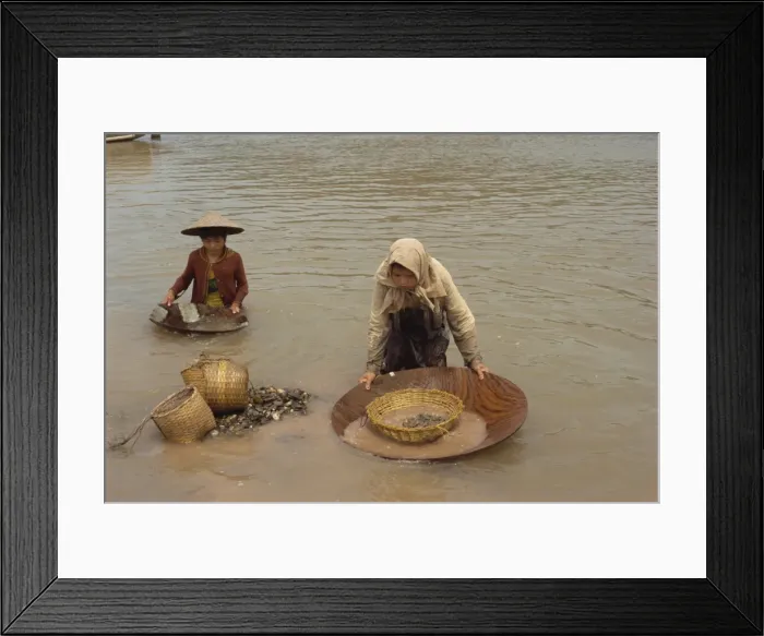 Framed Print : Women panning for gold in the waters of the Mekong River in Vietnam Framed Print : Women panning for gold in the waters of the Mekong River in Vietnam
