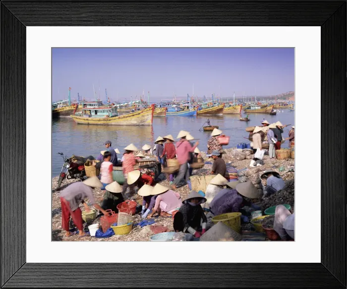Framed Print : Fishing village people collecting the morning catch Framed Print : Fishing village people collecting the morning catch