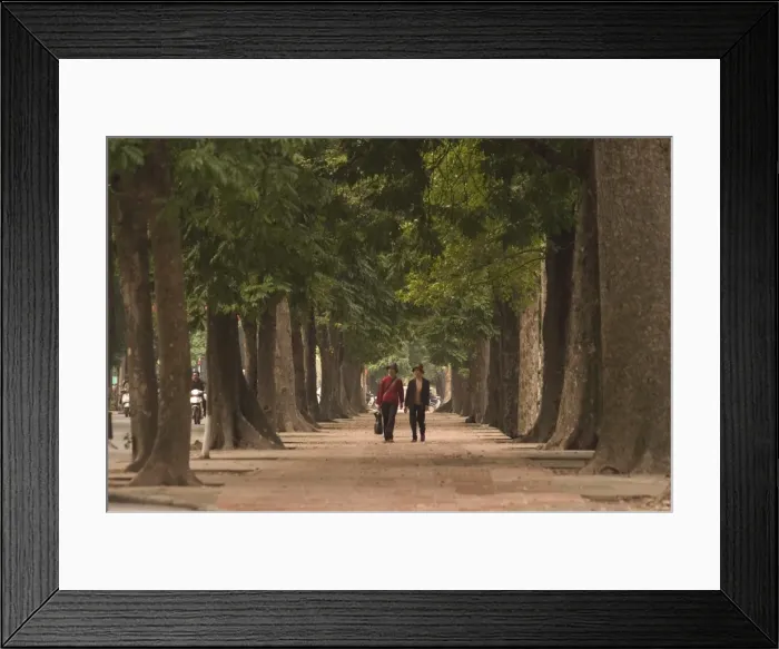 Framed Print : Women walking through avenue of trees Framed Print : Women walking through avenue of trees