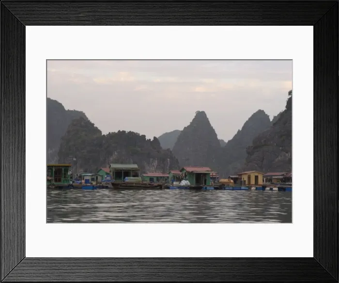 Framed Print : House boats Framed Print : House boats