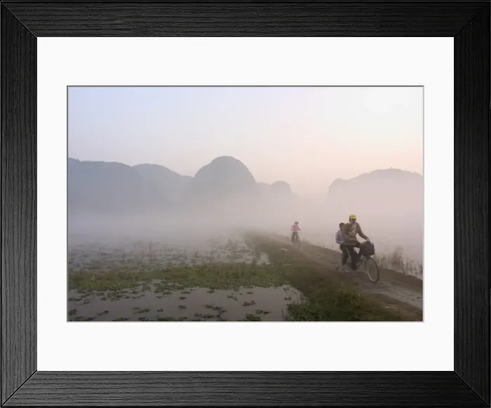 Framed Print : Bicycles in the morning mist at sunrise Framed Print : Bicycles in the morning mist at sunrise