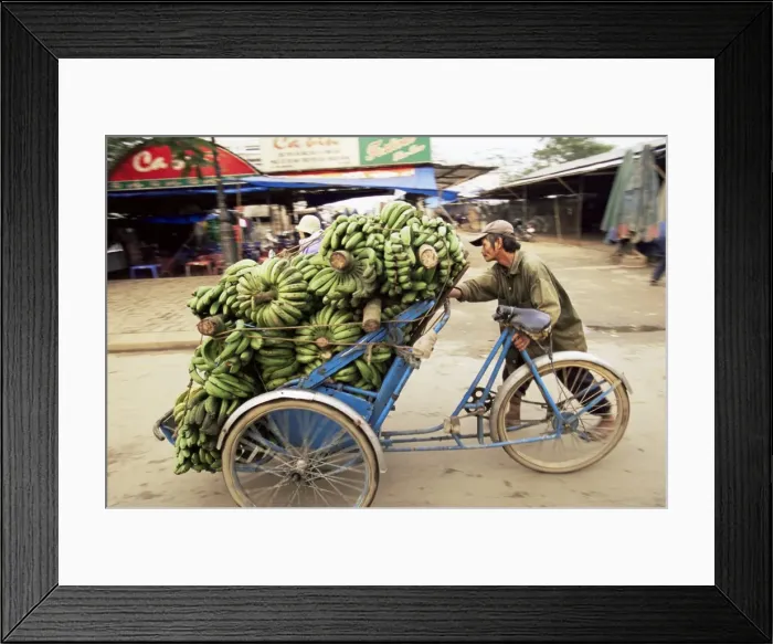 Framed Print : Man transporting bananas on cyclo Framed Print : Man transporting bananas on cyclo