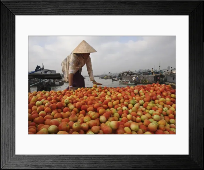 Framed Print : Cai Rang Floating Market on the Mekong Delta