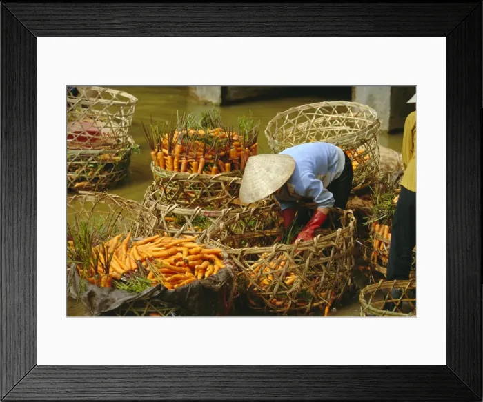 Framed Print : Woman washing carrots Framed Print : Woman washing carrots