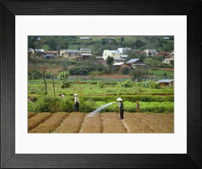 Framed Print : Irrigating fields near Dalat Framed Print : Irrigating fields near Dalat