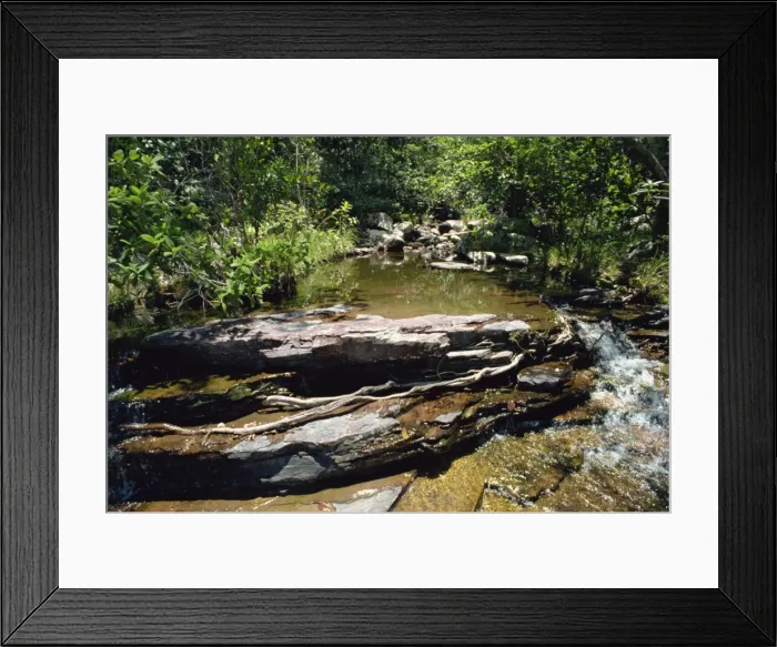 Framed Print : River near the Indian village of Kavak