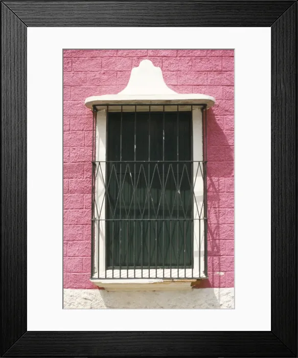 Framed Print : Ornate windows Framed Print : Ornate windows