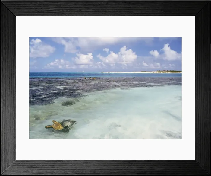Framed Print : Espenqui, Los Roques Framed Print : Espenqui, Los Roques