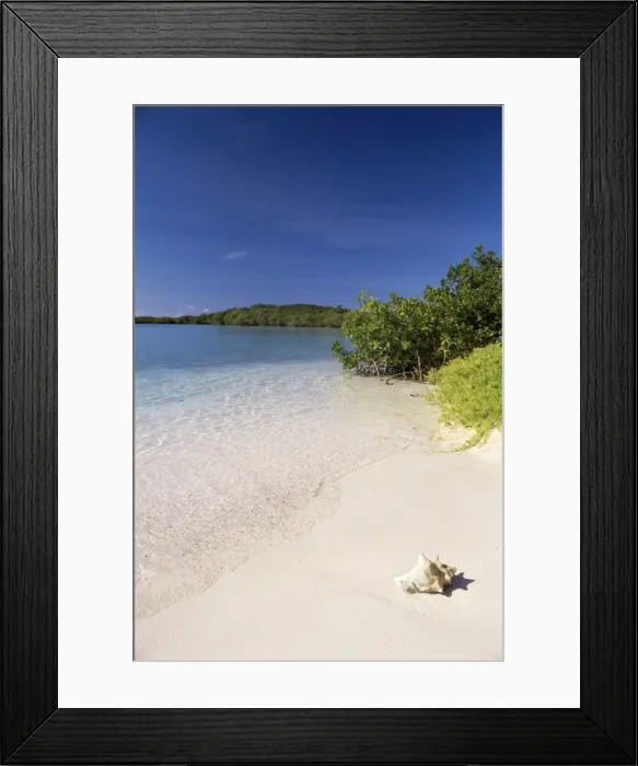 Framed Print : Lanqui, Los Roques Framed Print : Lanqui, Los Roques