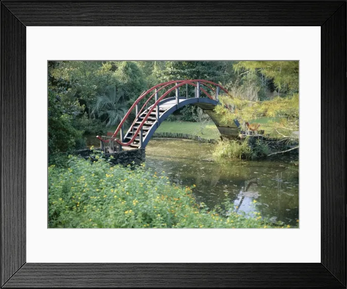 Framed Print : Arched bridge in Oriental American garden Framed Print : Arched bridge in Oriental American garden