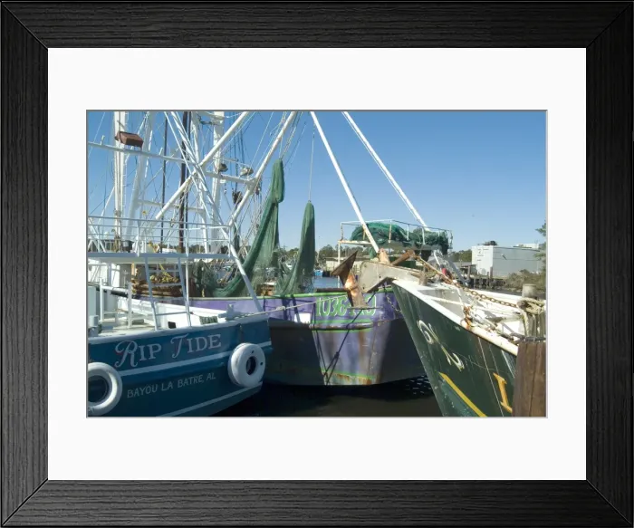 Framed Print : Harbor, Bayou le Batre Framed Print : Harbor, Bayou le Batre
