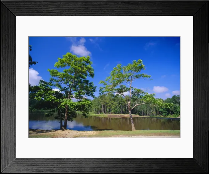 Framed Print : The Little River at Claude D Kelly State Park in Monroe County Framed Print : The Little River at Claude D Kelly State Park in Monroe County
