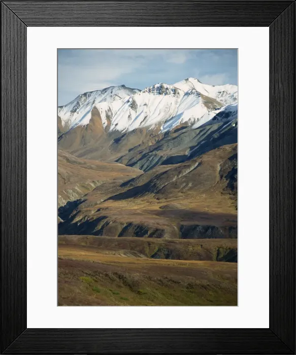 Framed Print : Tundra landscape with snowline in the background on Framed Print : Tundra landscape with snowline in the background on