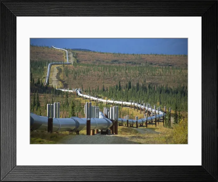 Framed Print : The Trans Alaska Oil Pipeline running on refrigerated Framed Print : The Trans Alaska Oil Pipeline running on refrigerated